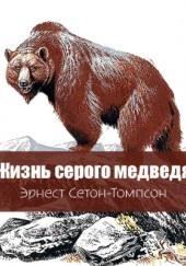 Жизнь серого медведя