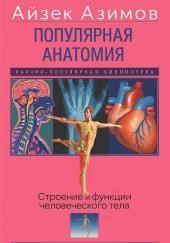 Популярная анатомия. Строение и функции человеческого тела