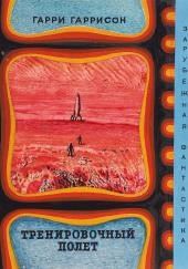 Тренировочный полет