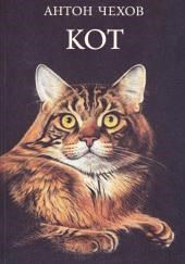 Кот
