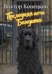 Последняя ночь Бандита