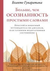 Больше, чем осознанность простыми словами. Простой и понятный путеводитель по джханам, или глубоким медитативным состояниям