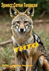 Тито